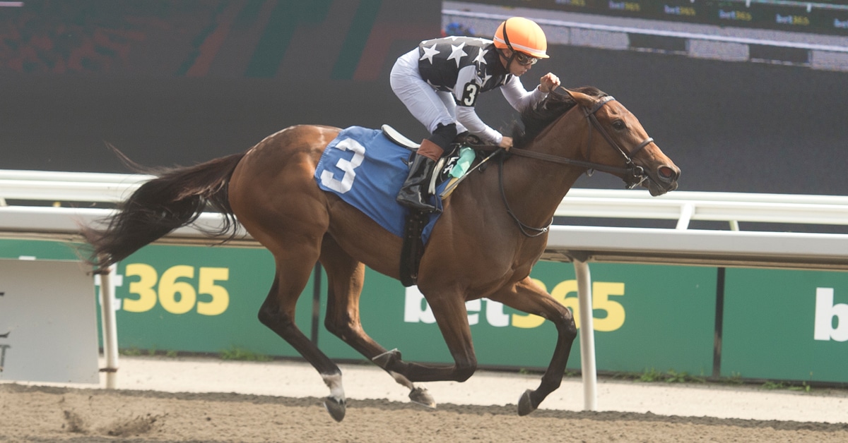A bay horse winning a race at Woodbine.