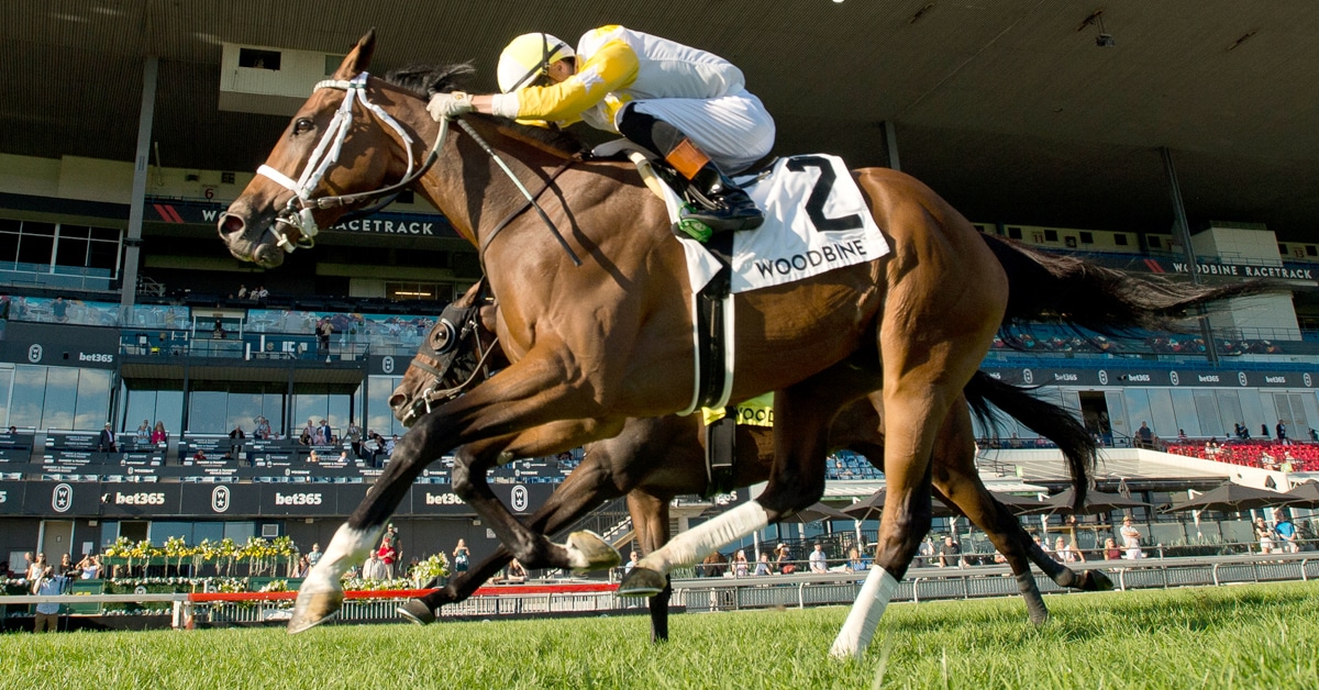 Horses racing to the finish line at Woodbine.
