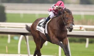 A bay horse winning a race at Woodbine.