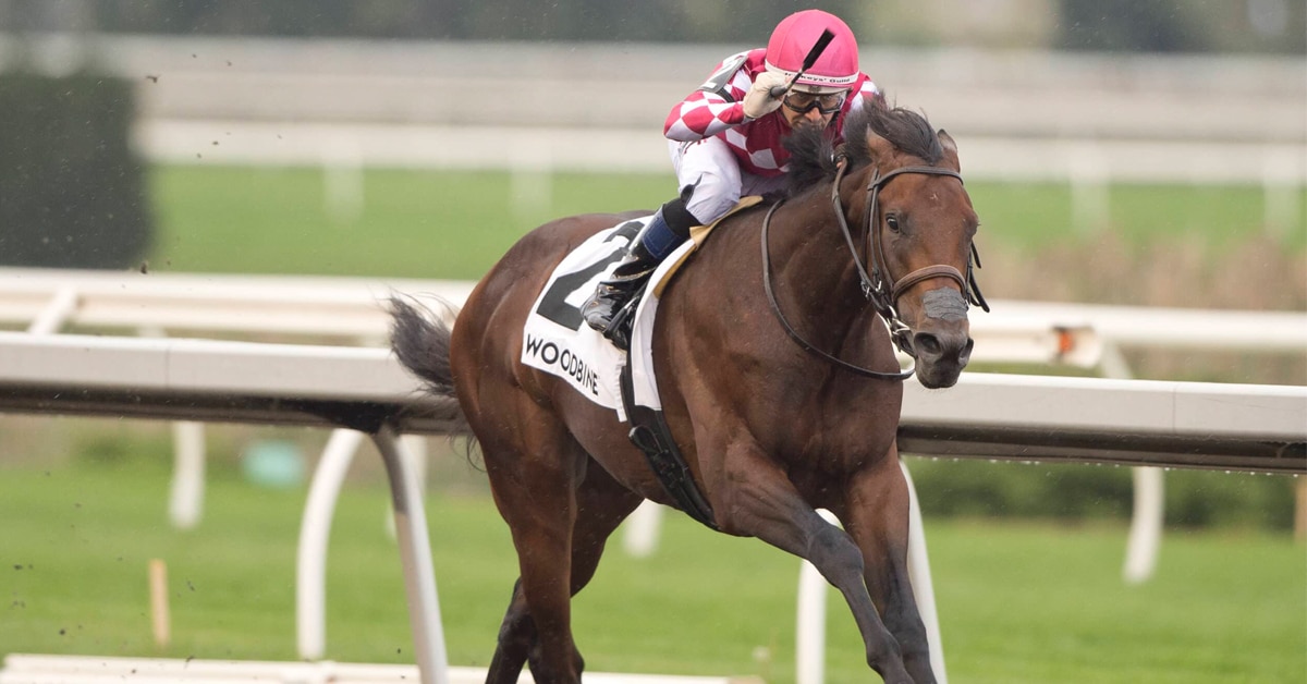 A bay horse winning a race at Woodbine.