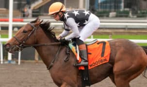 A bay horse winning a race at Woodbine.