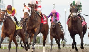 Head-on shot of horses racing at Woodbine.