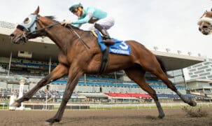A bay horse winning a race at Woodbine.