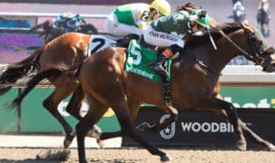 A bay horse winning a race at Woodbine.