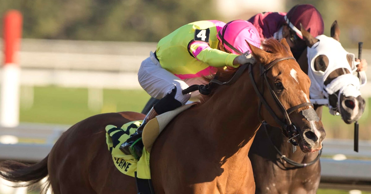 Two horses racing to the finish at Woodbine.