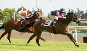 A bay horse winning a race at Woodbine.