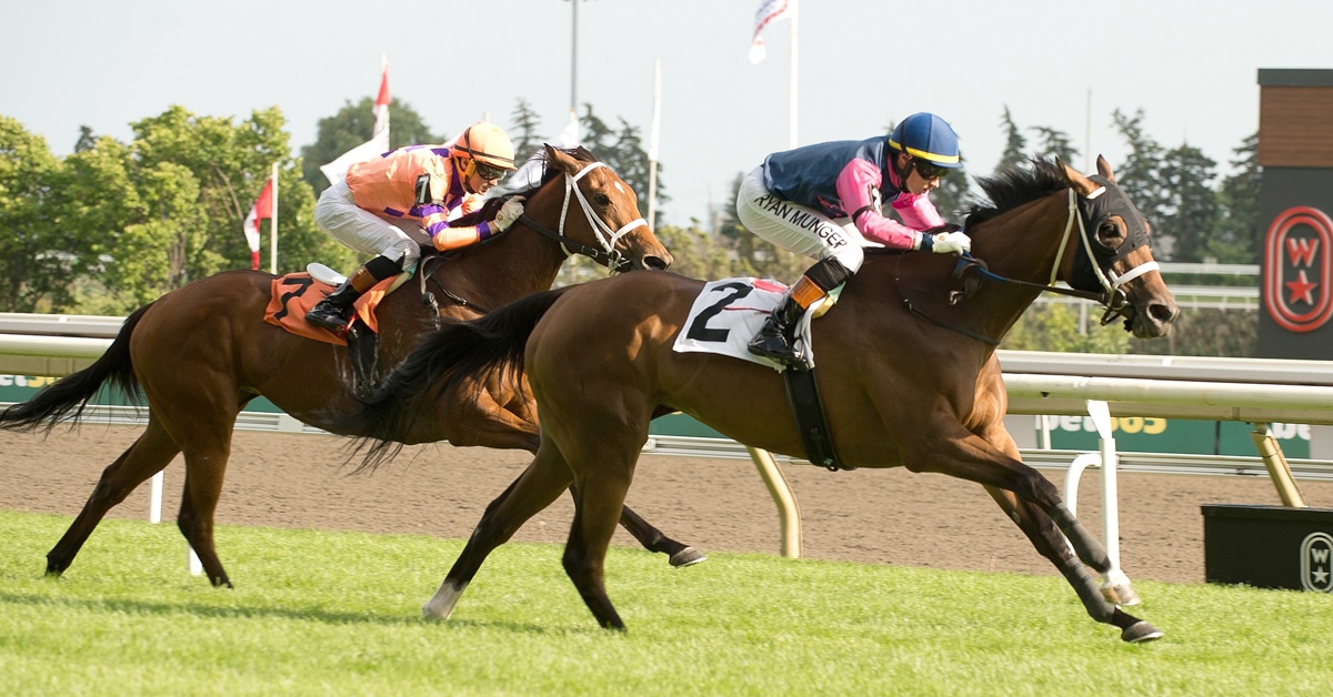 A bay horse winning a race at Woodbine.