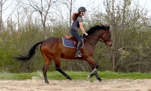 A woman riding a bay thoroughbred in a riding ring.