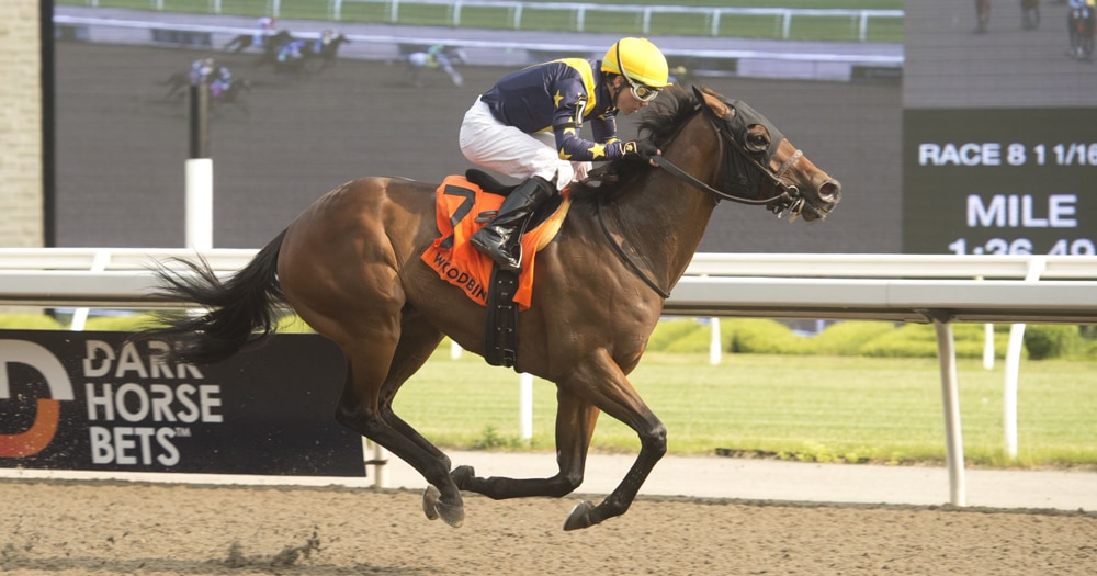 A bay horse winning a race at Woodbine.