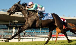 A dark bay mare winning a race at Woodbine.