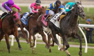 Horses racing down the stretch at Woodbine.
