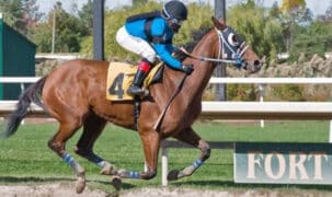 A bay mare winning a race at Fort Erie.