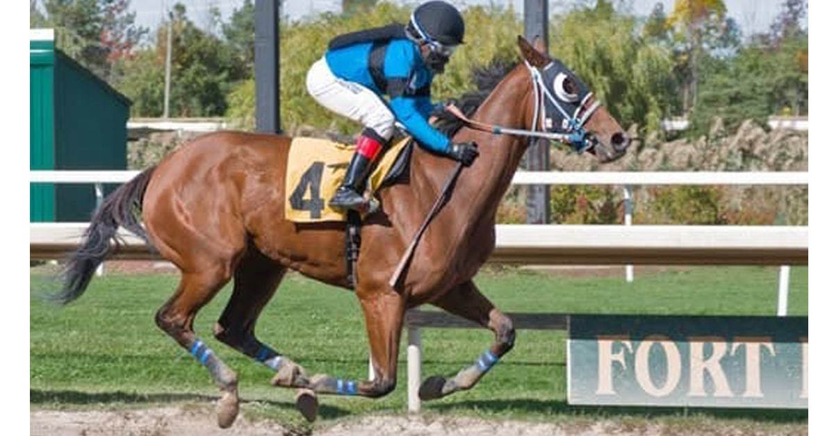 A bay mare winning a race at Fort Erie.
