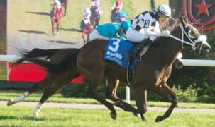 A bay filly winning a race at Woodbine.