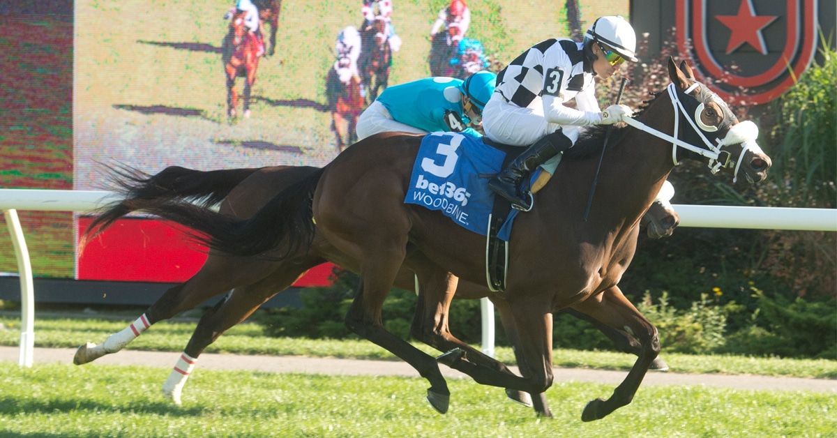A bay filly winning a race at Woodbine.