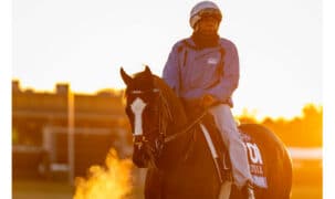 A horse and exercise rider in the early morning.